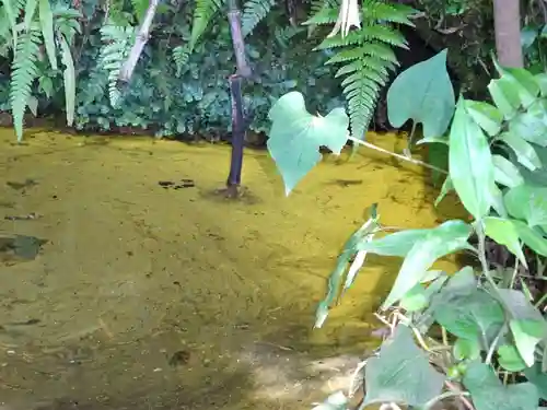 白笹稲荷神社の自然