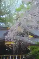 子安神社(東京都)