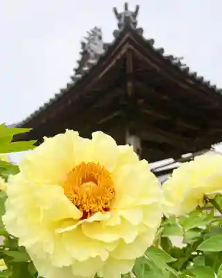 真言宗　善通寺派　薬王寺(香川県)