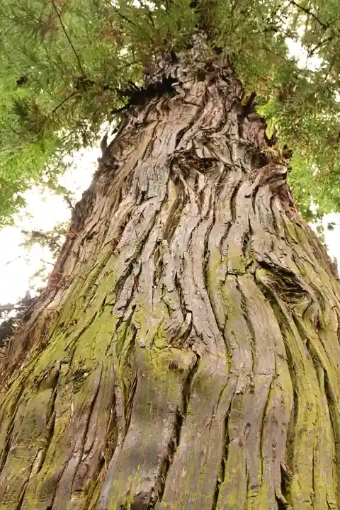 大滝神社(山梨県)