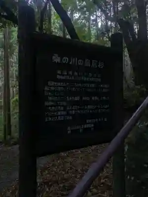 地主神社（桑の川の鳥居杉）(高知県)