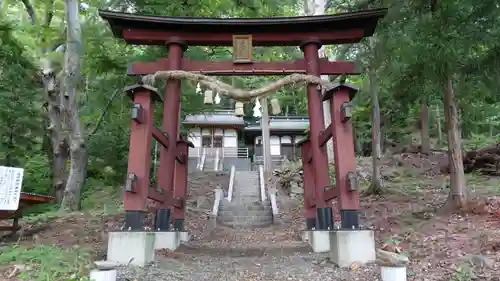 福井神社の鳥居