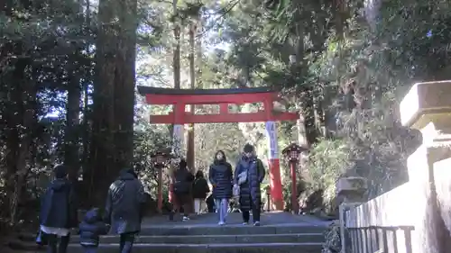箱根神社(神奈川県)