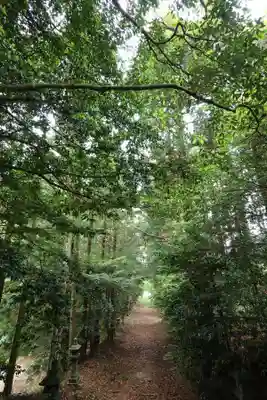 渋木八幡宮(山口県)