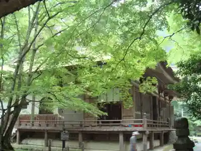 百済寺の本殿・本堂