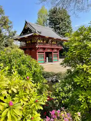 根津神社(東京都)