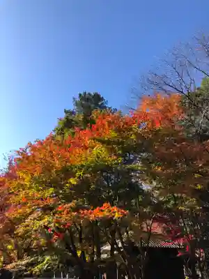 平林寺の自然