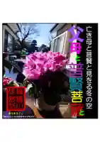 耕田院(山形県)