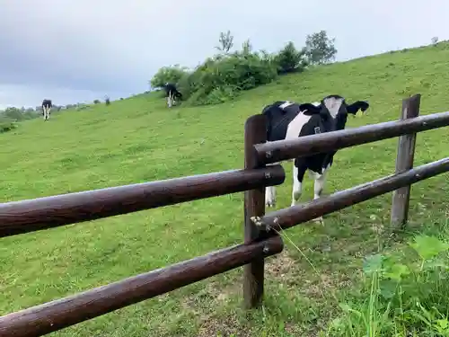 禰固岳神社の自然