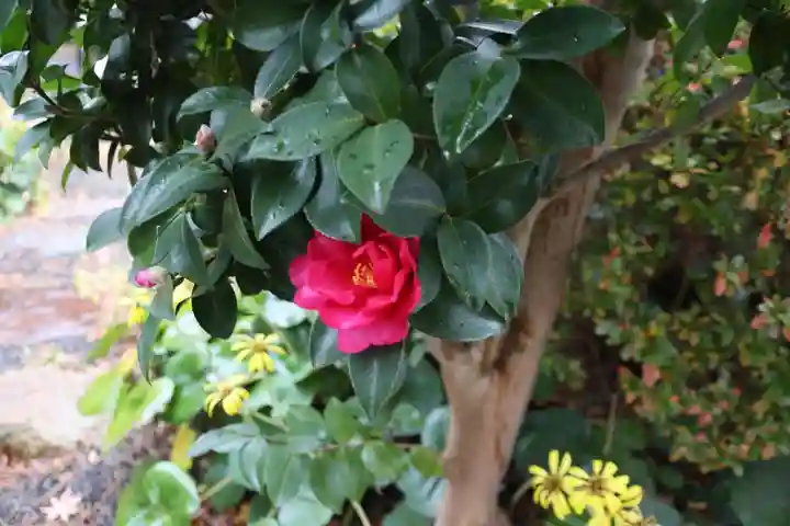 豊景神社の庭園