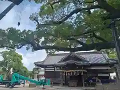 百舌鳥八幡宮(大阪府)