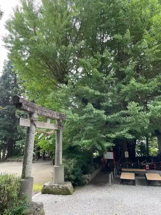 山寺日枝神社(山形県)