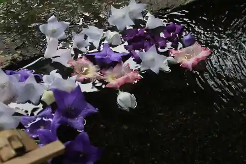 鹿島大神宮の手水