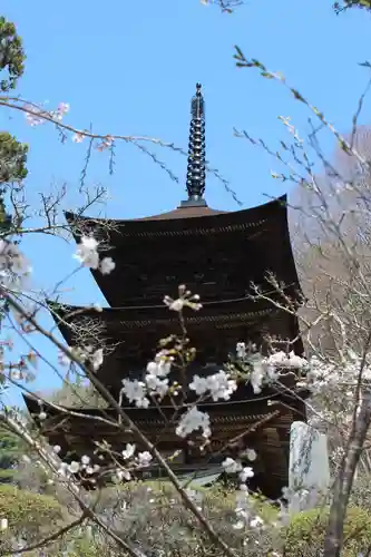 国宝 大法寺の塔