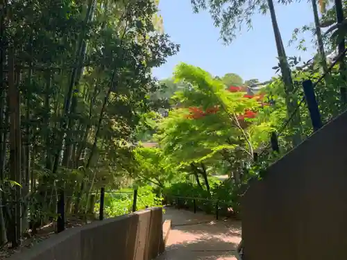 本土寺のその他建物