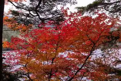 大瀧神社(長野県)