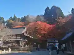 百済寺の建物その他