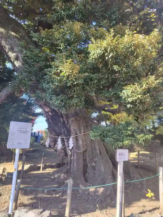 九重神社(埼玉県)