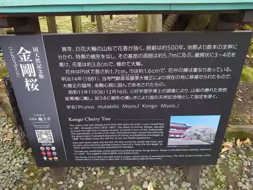 輪王寺(栃木県)