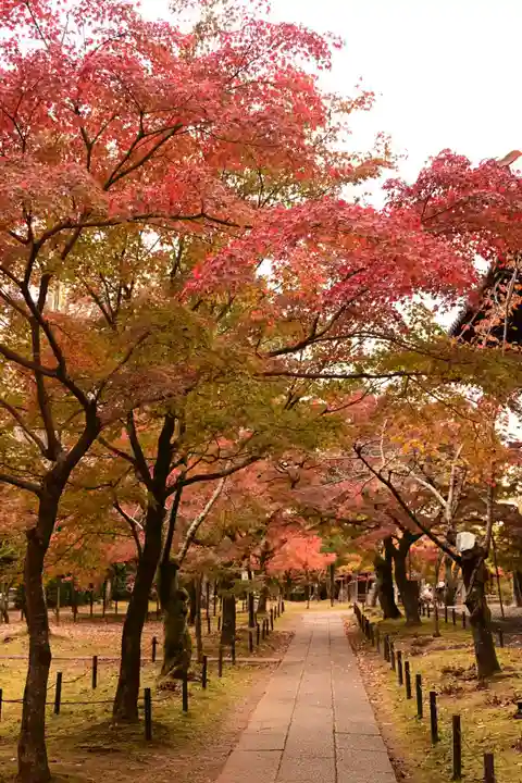 真正極楽寺(真如堂)(京都府)