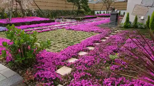 寿量山　速成寺の庭園