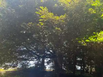 宿那彦神像石神社(石川県)