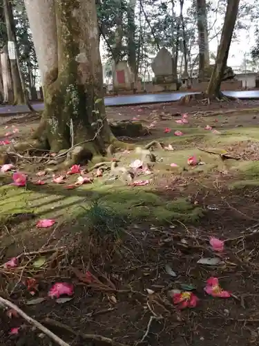 一言主神社の自然