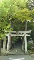 野間神社の鳥居