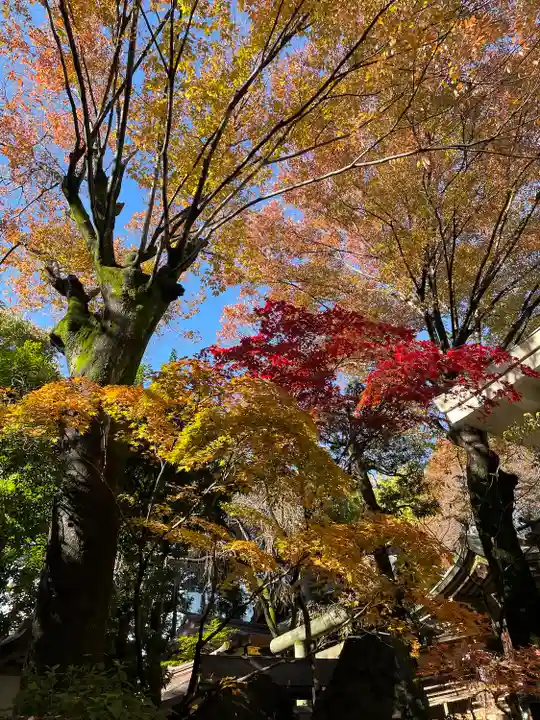 子安神社(東京都)