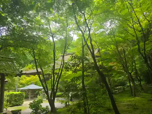 金剛輪寺(滋賀県)