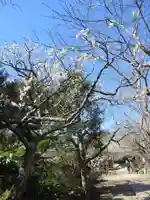 極楽寺(霊鷲山感應院極楽律寺)の景色