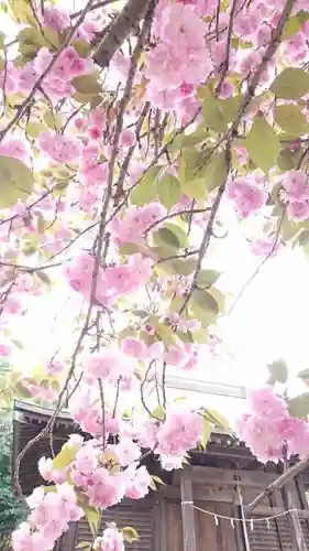 日光鹿島神社の自然