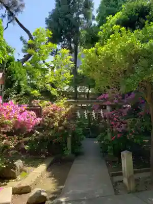 鳩森八幡神社の末社・摂社