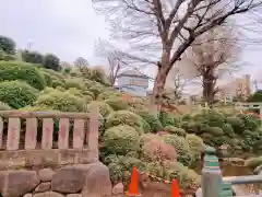 根津神社の景色