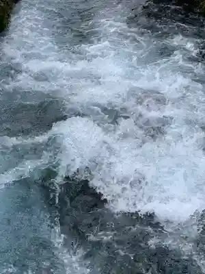 富士山本宮浅間大社(静岡県)