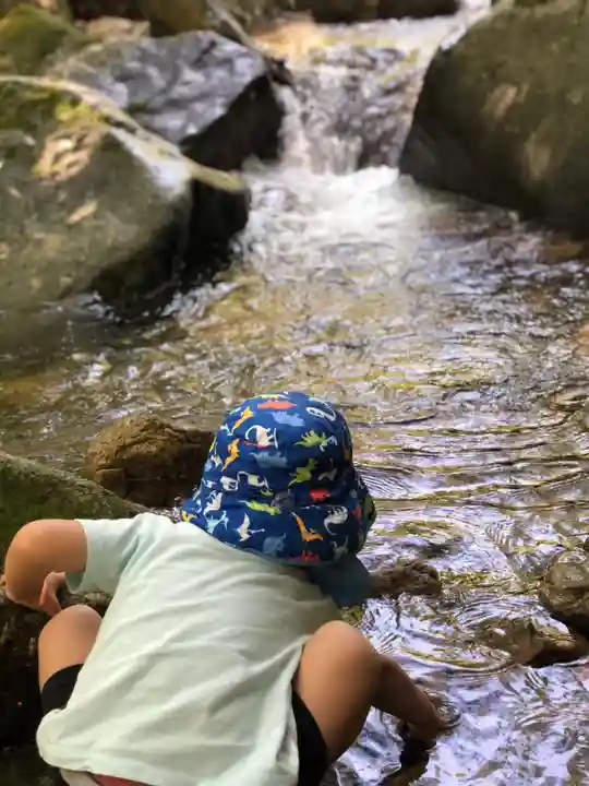 木舟山 順教寺の自然