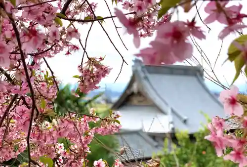 埼玉厄除け開運大師・龍泉寺（切り絵御朱印発祥の寺）の自然