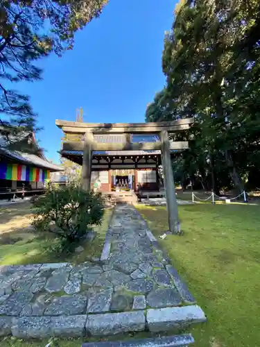 根来寺 智積院の鳥居