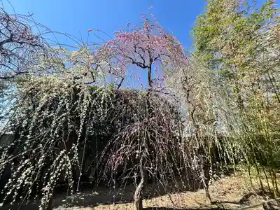 城南宮(京都府)