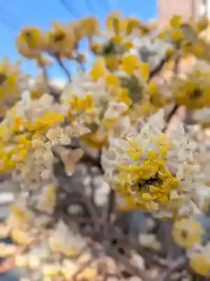 下高井戸八幡神社(東京都)