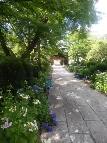 陽林寺のその他建物