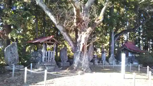 温泉神社の末社