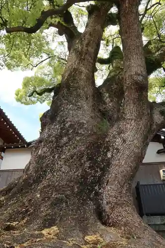 栖光院(愛知県)