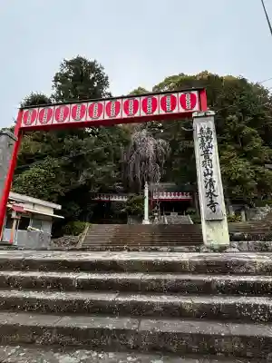 清水寺の{uncategorized: "未分類", other: "その他", undefined: "問題あり", building: "その他建物", grave: "お墓", sacred_gate: "鳥居", guardian: "狛犬", statue: "像", buddha: "仏像", history: "歴史", nature: "自然", garden: "庭園", animal: "動物", pagoda: "塔", temizu: "手水舎", mountain_gate: "山門・神門", sanctuary: "本殿・本堂", subordinate: "末社・摂社", art: "芸術", scenery: "景色", jizo: "地蔵", ema: "絵馬", goshuin: "御朱印", omikuji: "おみくじ", items: "授与品その他", amulet: "お守り", goshuincho: "御朱印帳", eats: "食事", festival: "お祭り", votive_dance: "神楽", shichigosan: "七五三参", wedding: "結婚式", experience: "体験その他", initially: "初詣", around: "周辺", anti_infection: "感染症対策"}