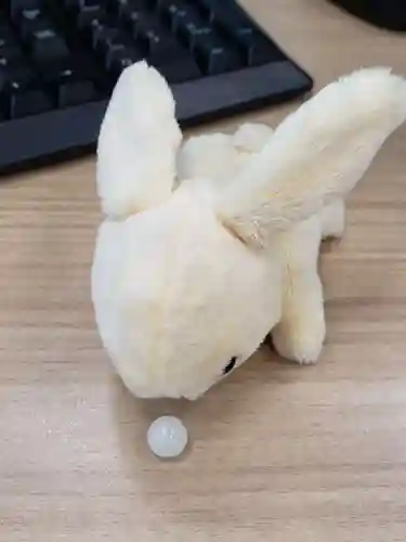 成田山深川不動堂（新勝寺東京別院）の授与品その他