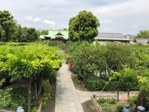 亀戸天神社の庭園