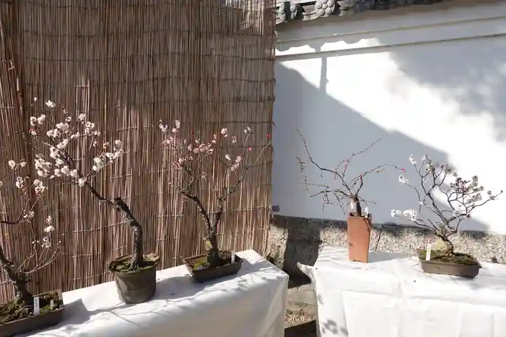 菅原天満宮(菅原神社)(奈良県)