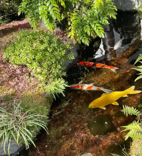 長谷寺の{uncategorized: "未分類", other: "その他", undefined: "問題あり", building: "その他建物", grave: "お墓", sacred_gate: "鳥居", guardian: "狛犬", statue: "像", buddha: "仏像", history: "歴史", nature: "自然", garden: "庭園", animal: "動物", pagoda: "塔", temizu: "手水舎", mountain_gate: "山門・神門", sanctuary: "本殿・本堂", subordinate: "末社・摂社", art: "芸術", scenery: "景色", jizo: "地蔵", ema: "絵馬", goshuin: "御朱印", omikuji: "おみくじ", items: "授与品その他", amulet: "お守り", goshuincho: "御朱印帳", eats: "食事", festival: "お祭り", votive_dance: "神楽", shichigosan: "七五三参", wedding: "結婚式", experience: "体験その他", initially: "初詣", around: "周辺", anti_infection: "感染症対策"}
