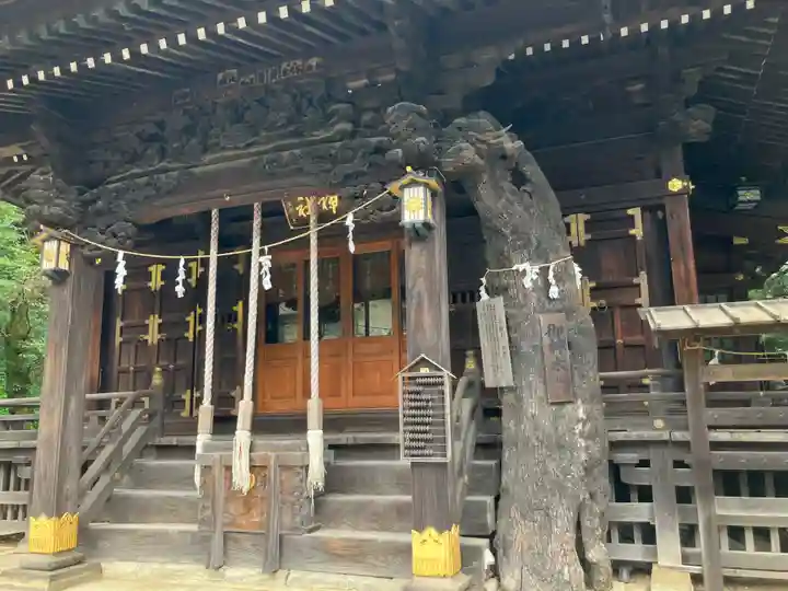 子之神社(神奈川県)