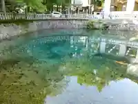 嚴島神社(山口県)